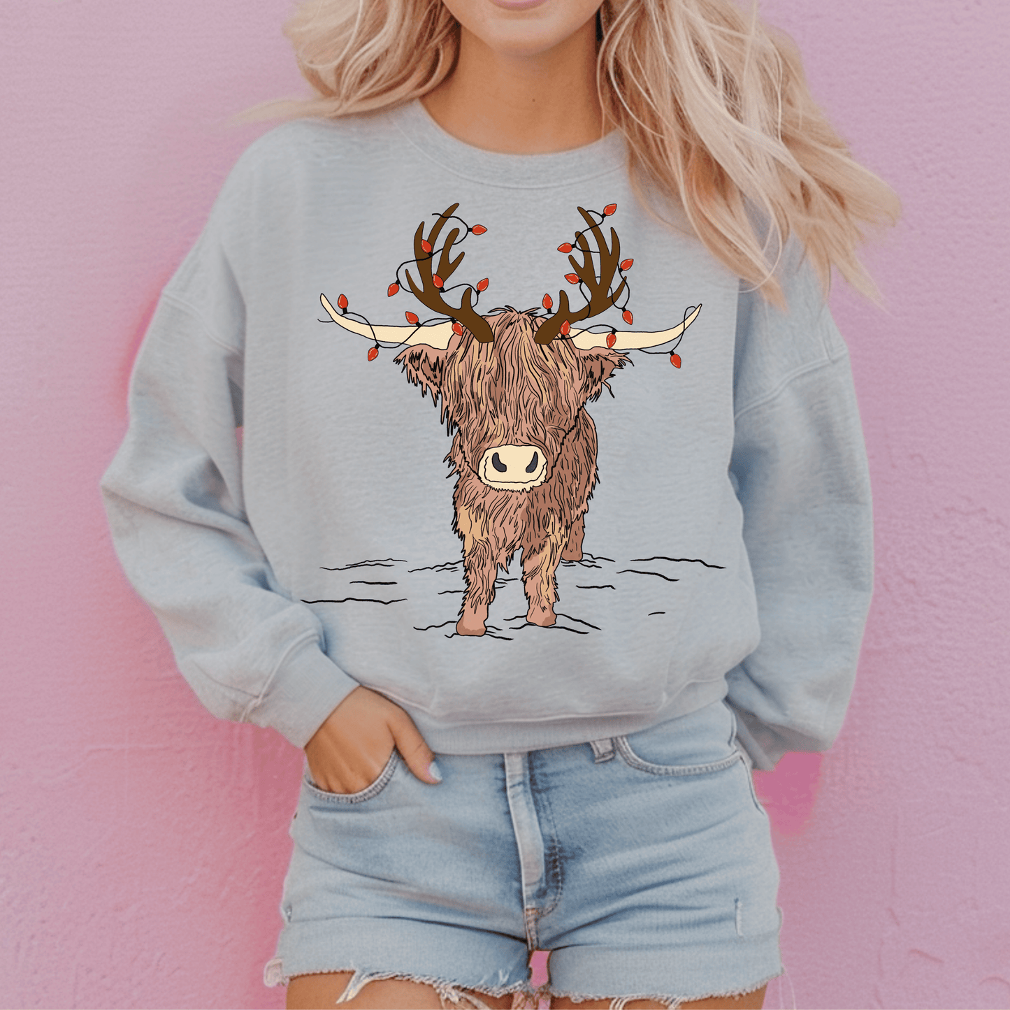 Reindeer Highland T-Shirt/Crewneck (6Mo-Adult 4XL)