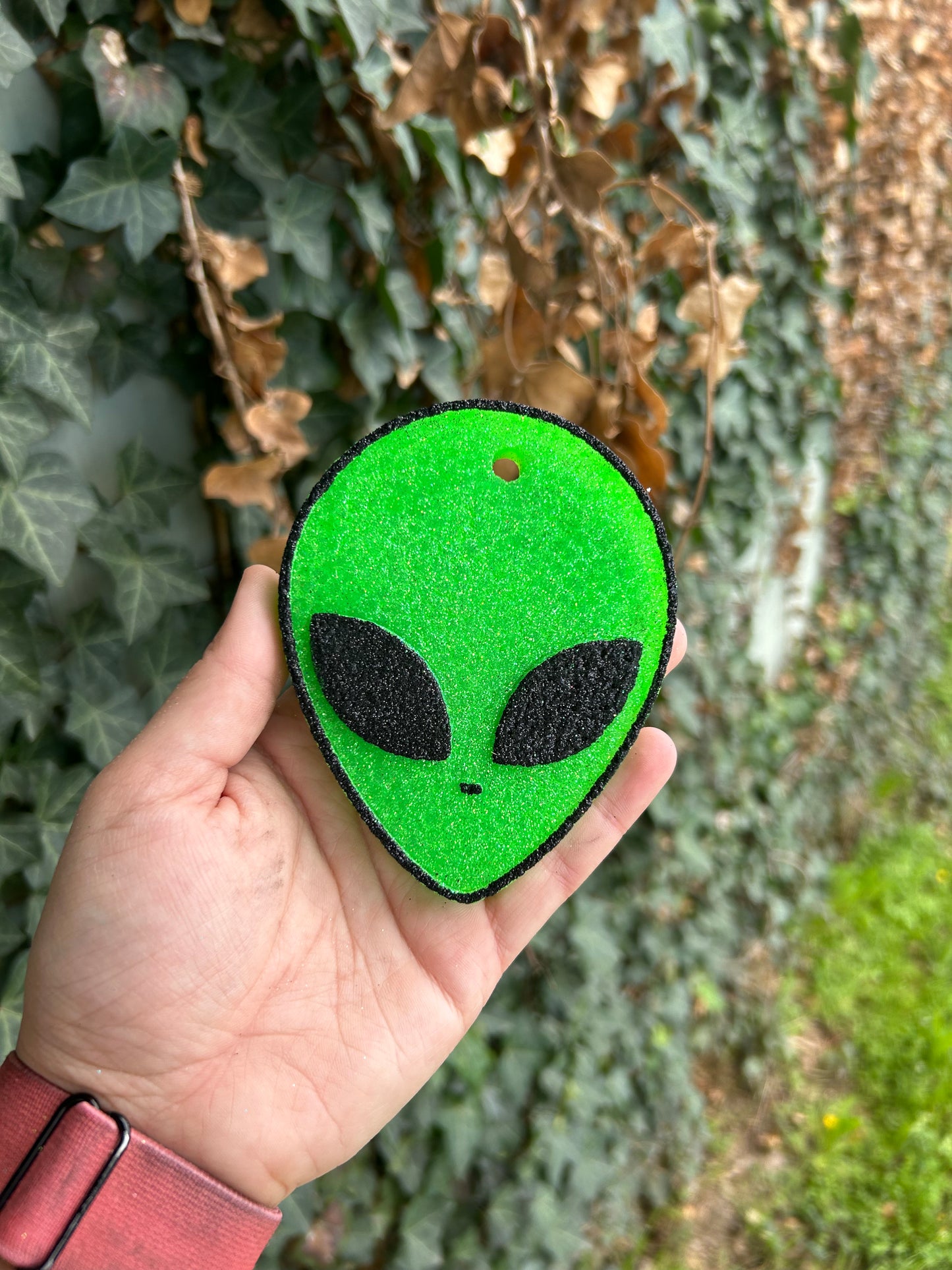 Alien Freshie